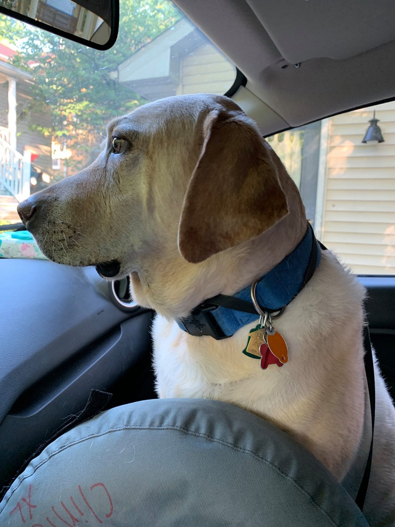 Pet Hospice & Euthanasia IL 61615 Hometown VC