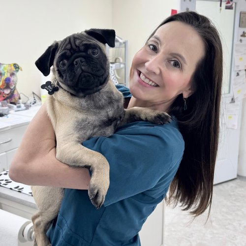 clinic's inside photo