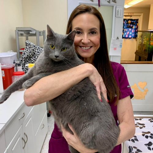 veterinary services doctor-with-puppy