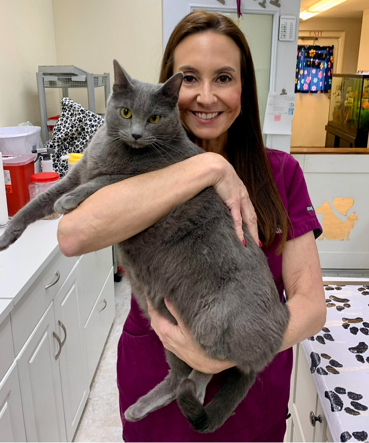 veterinarian examining the puppy
